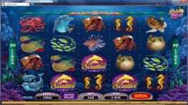 dolphin_quest_32re_2602_3.jpg